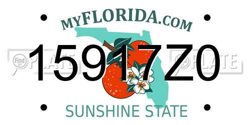 15917Z0 Florida License Plate