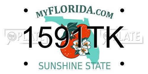 1591TK Florida License Plate