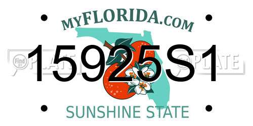 15925S1 Florida License Plate