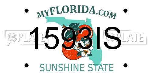 1593IS Florida License Plate