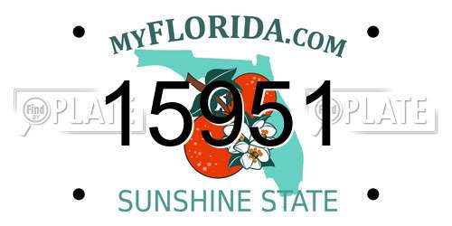 15951 Florida License Plate