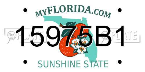 15975B1 Florida License Plate