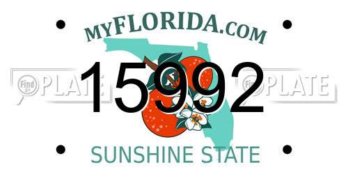 15992 Florida License Plate