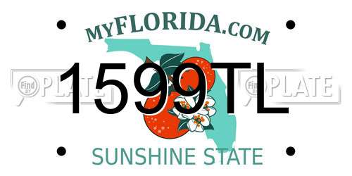 1599TL Florida License Plate