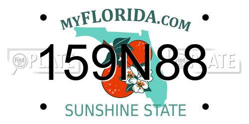 159N88 Florida License Plate