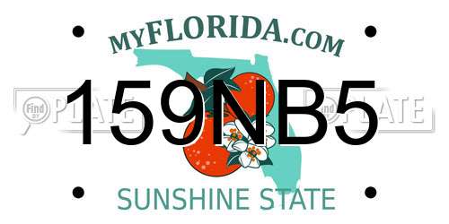 159NB5 Florida License Plate
