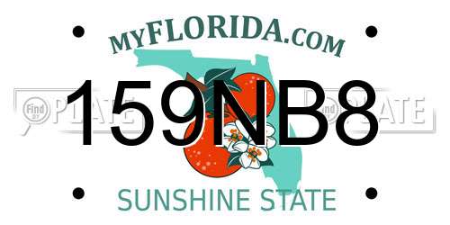 159NB8 Florida License Plate