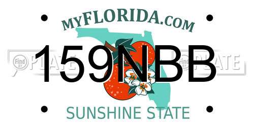 159NBB Florida License Plate