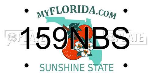 159NBS Florida License Plate