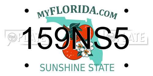 159NS5 Florida License Plate