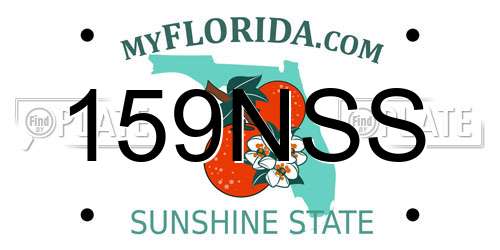159NSS Florida License Plate