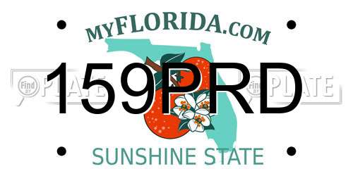 159PRD Florida License Plate