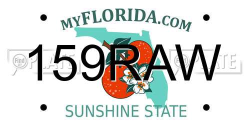 159RAW Florida License Plate