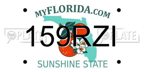 159RZI Florida License Plate