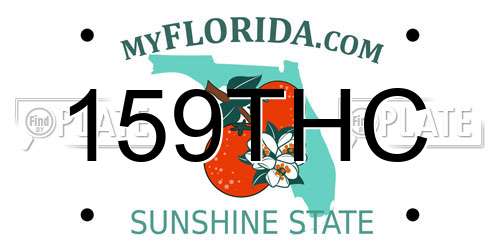 159THC Florida License Plate