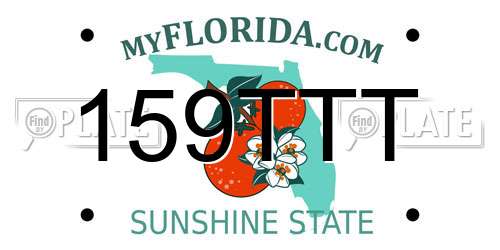159TTT Florida License Plate