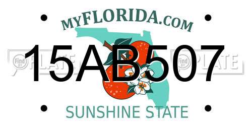 15AB507 Florida License Plate