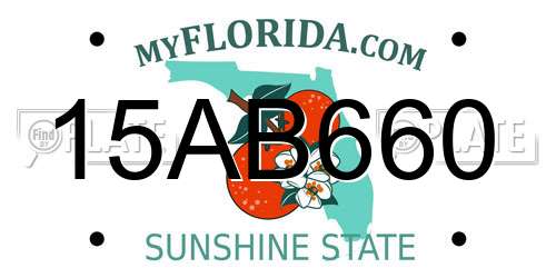 15AB660 Florida License Plate