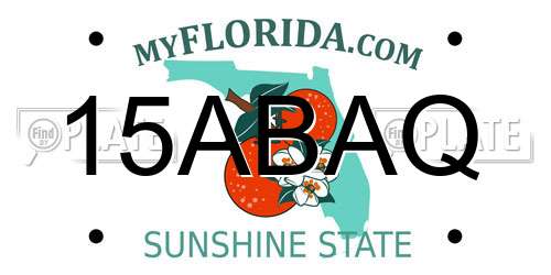15ABAQ Florida License Plate