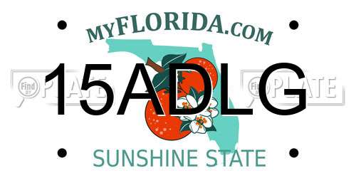 15ADLG Florida License Plate