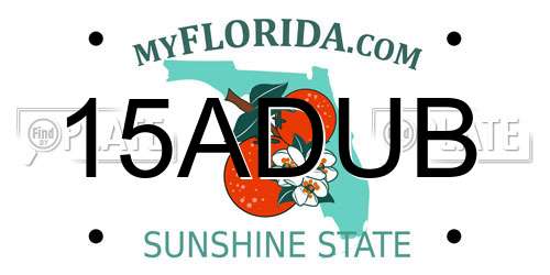 15ADUB Florida License Plate
