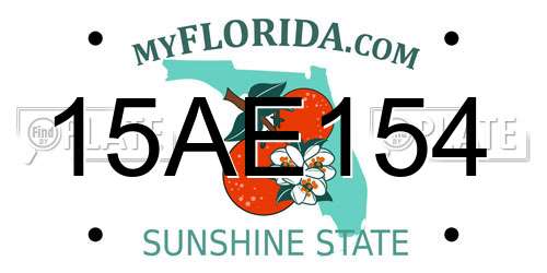 15AE154 Florida License Plate