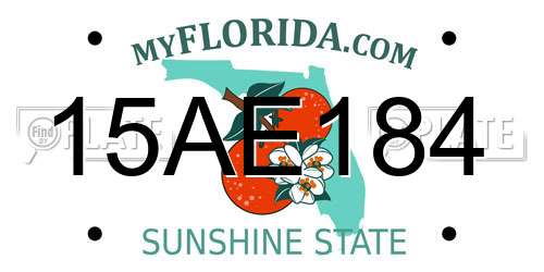 15AE184 Florida License Plate