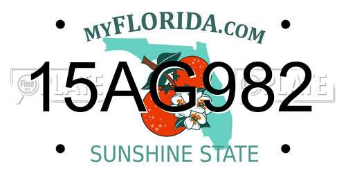 15AG982 Florida License Plate