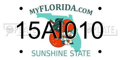 15AI010 Florida License Plate