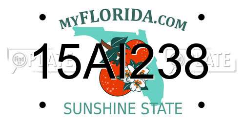 15AI238 Florida License Plate