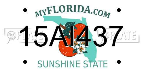 15AI437 Florida License Plate