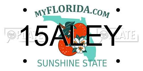 15ALEY Florida License Plate