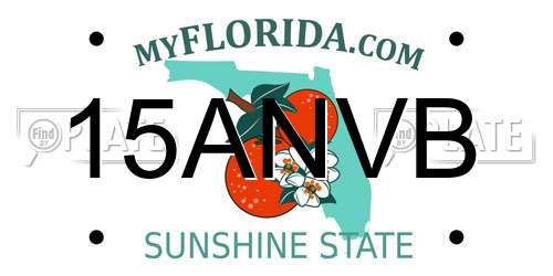15ANVB Florida License Plate
