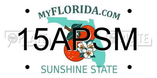 15APSM Florida License Plate