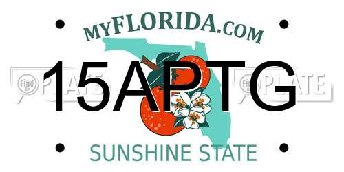 15APTG Florida License Plate
