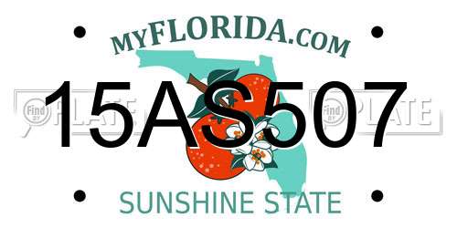 15AS507 Florida License Plate