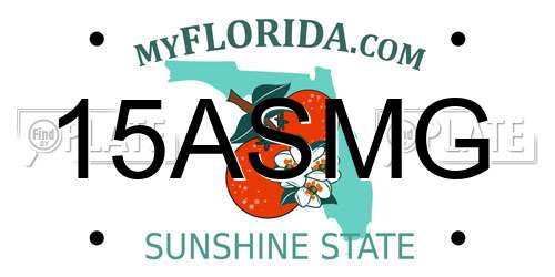 15ASMG Florida License Plate