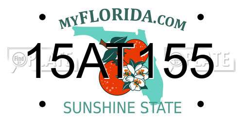 15AT155 Florida License Plate