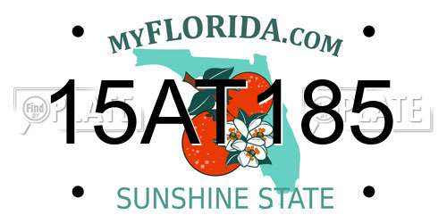 15AT185 Florida License Plate