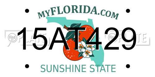 15AT429 Florida License Plate