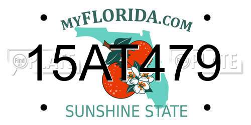 15AT479 Florida License Plate
