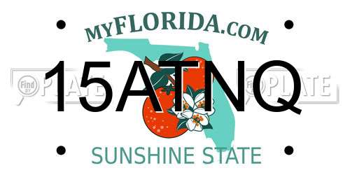 15ATNQ Florida License Plate