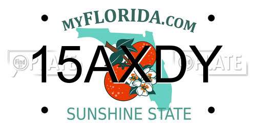 15AXDY Florida License Plate