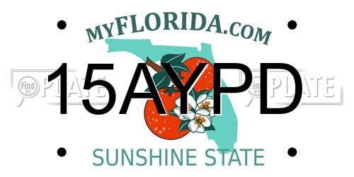 15AYPD Florida License Plate