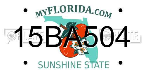15BA504 Florida License Plate
