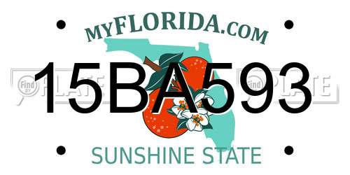 15BA593 Florida License Plate