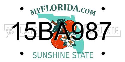 15BA987 Florida License Plate