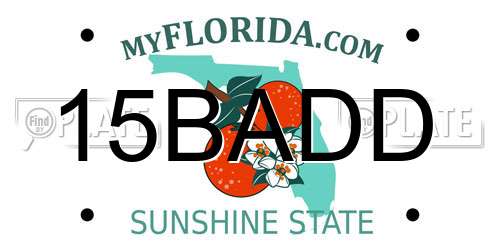 15BADD Florida License Plate
