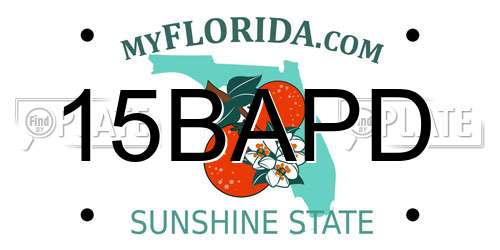 15BAPD Florida License Plate