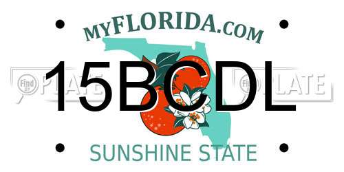 15BCDL Florida License Plate